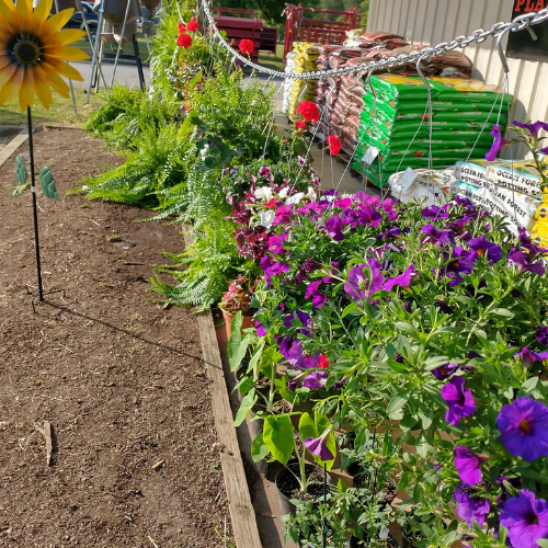 Photo of Country Oaks Farm & Home Supply