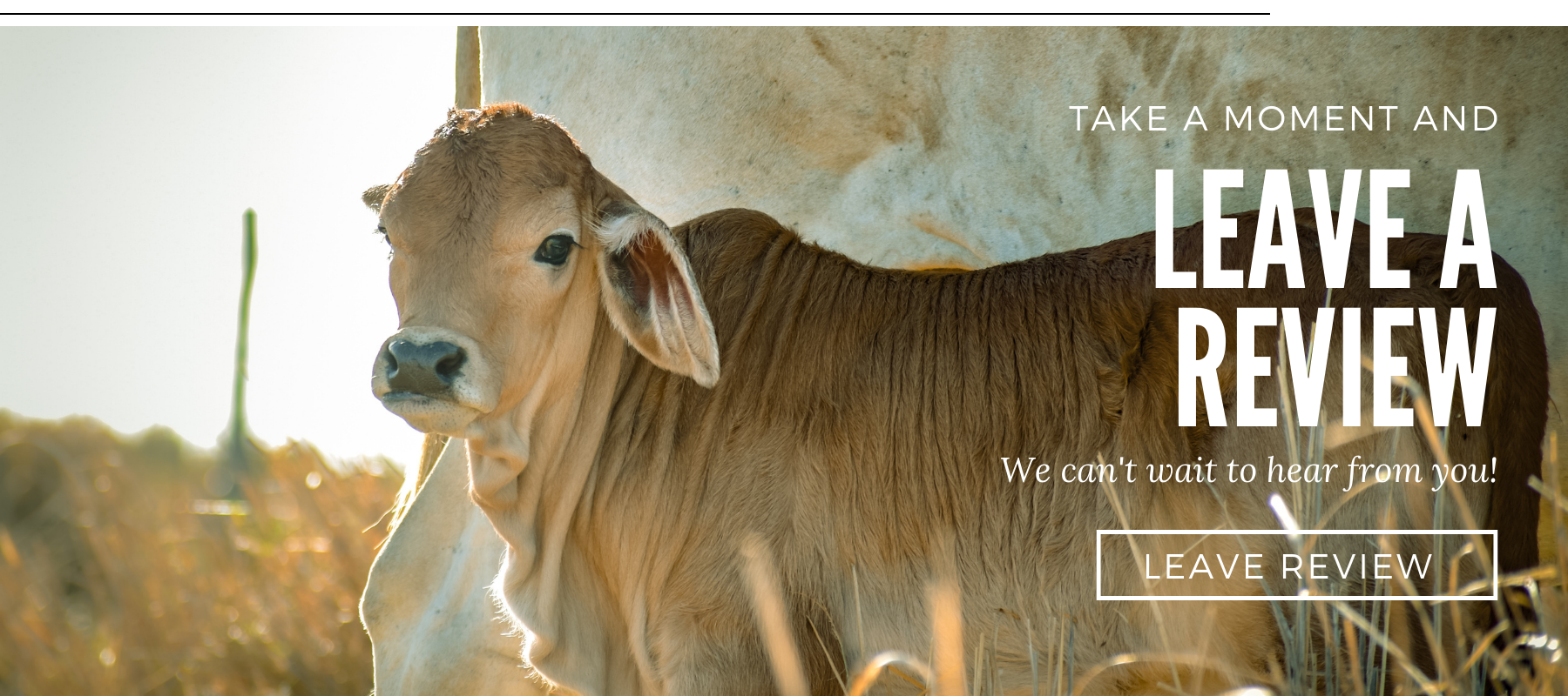 FarmFeed 1800x800 Shopify Slider 54fd6571 10ed 4d80 8e08