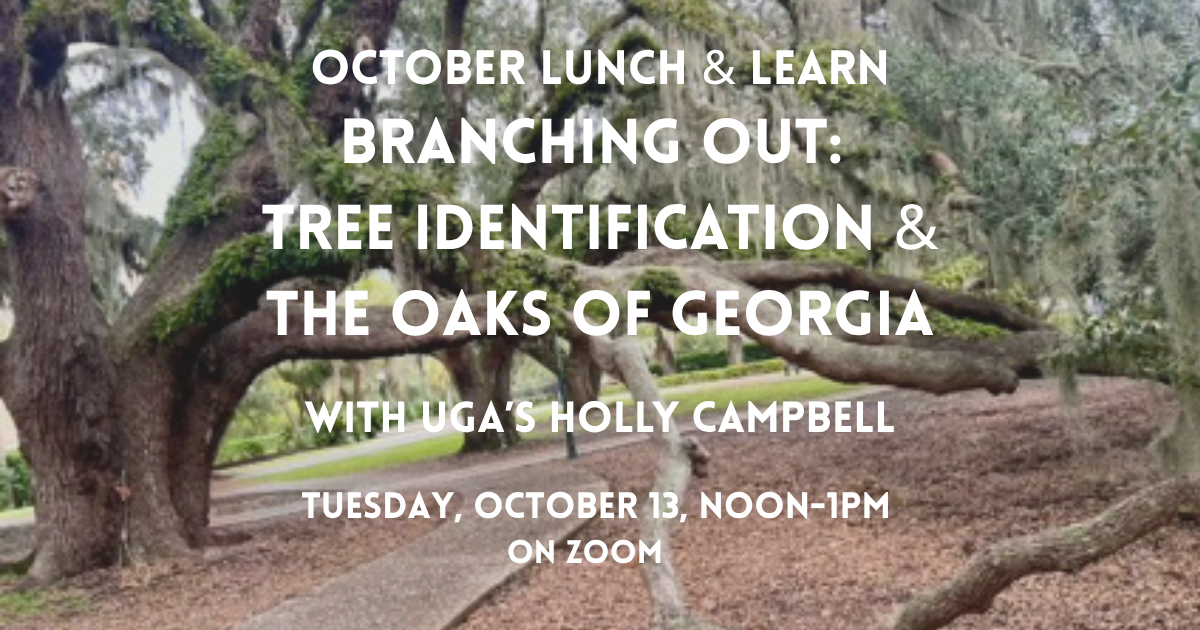October+Lunch+%26+Learn+revised