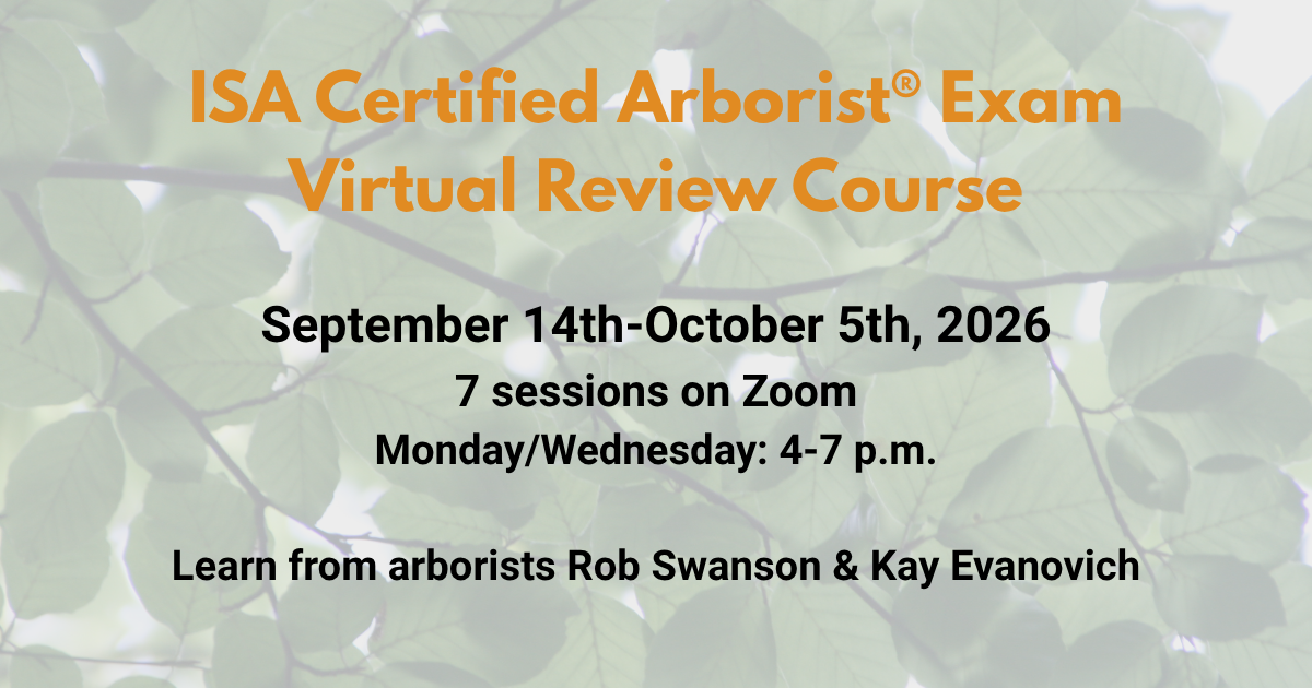 Exam+prep+course+Sept Oct+2026