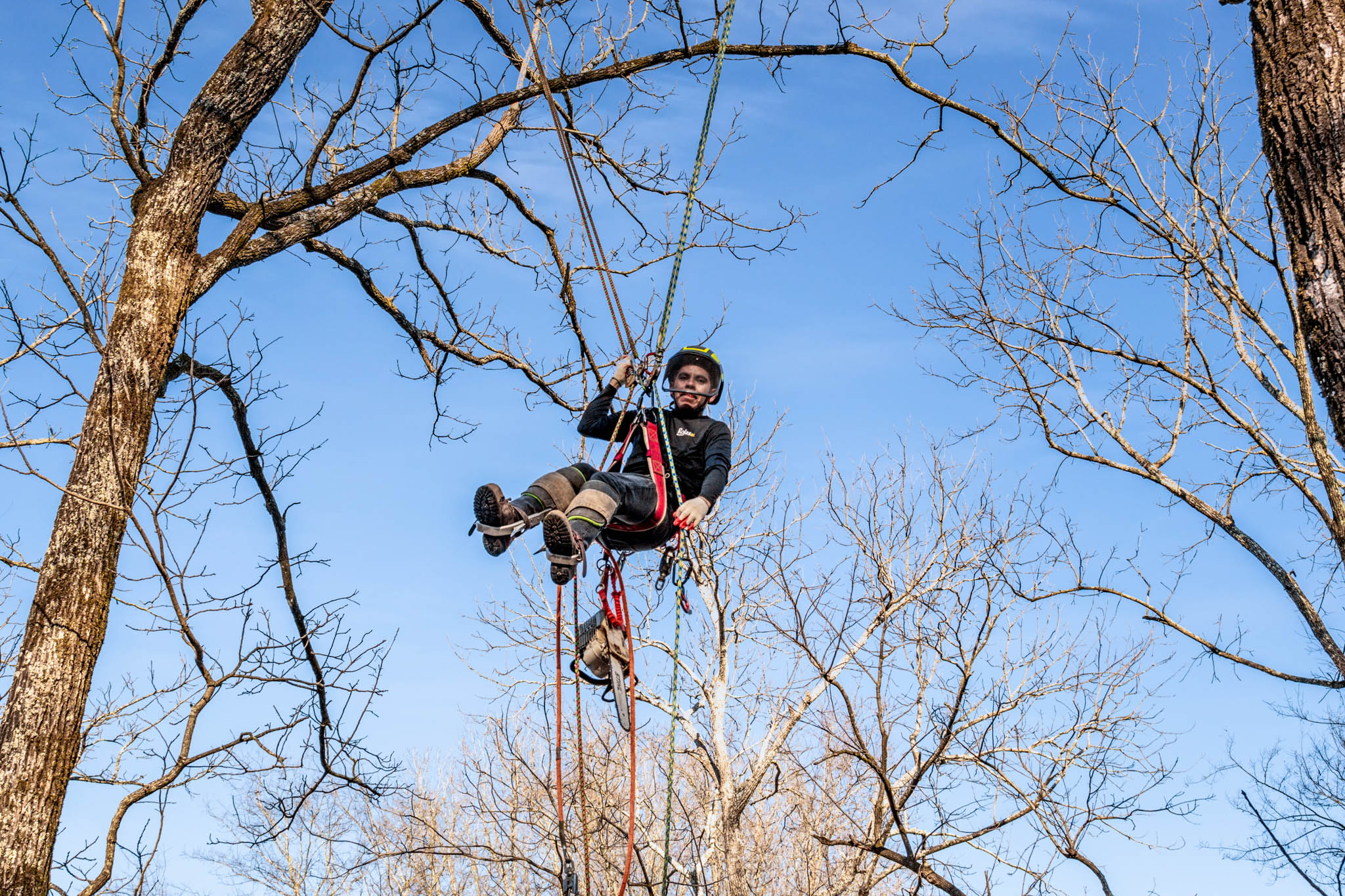 Rojas Tree Service