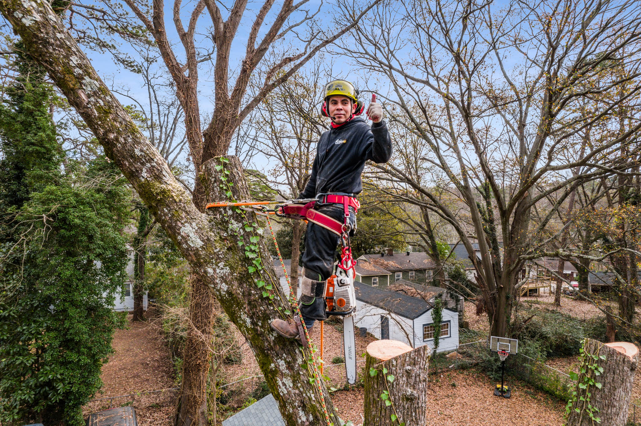 Photo of Rojas Tree Service, LLC