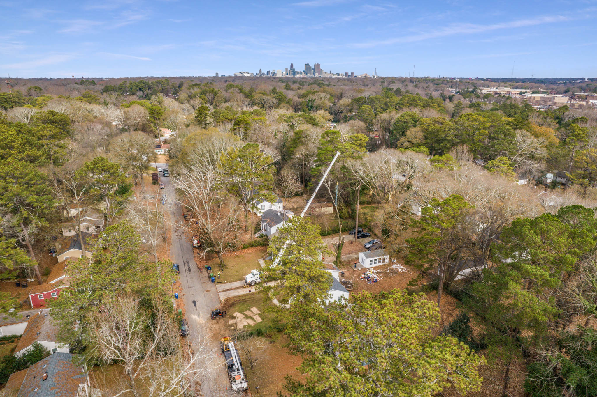 Rojas Tree Service