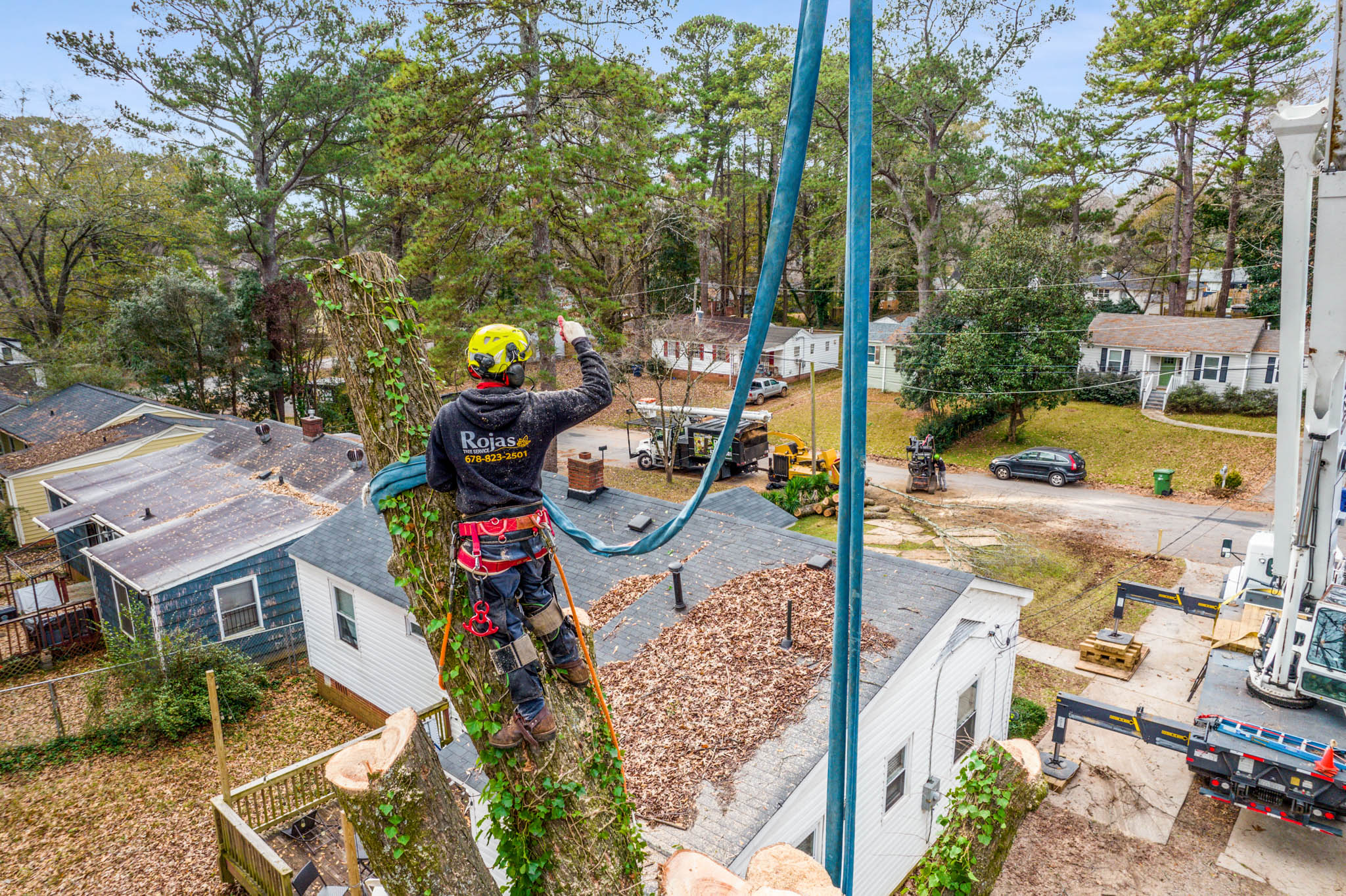 Rojas Tree Service