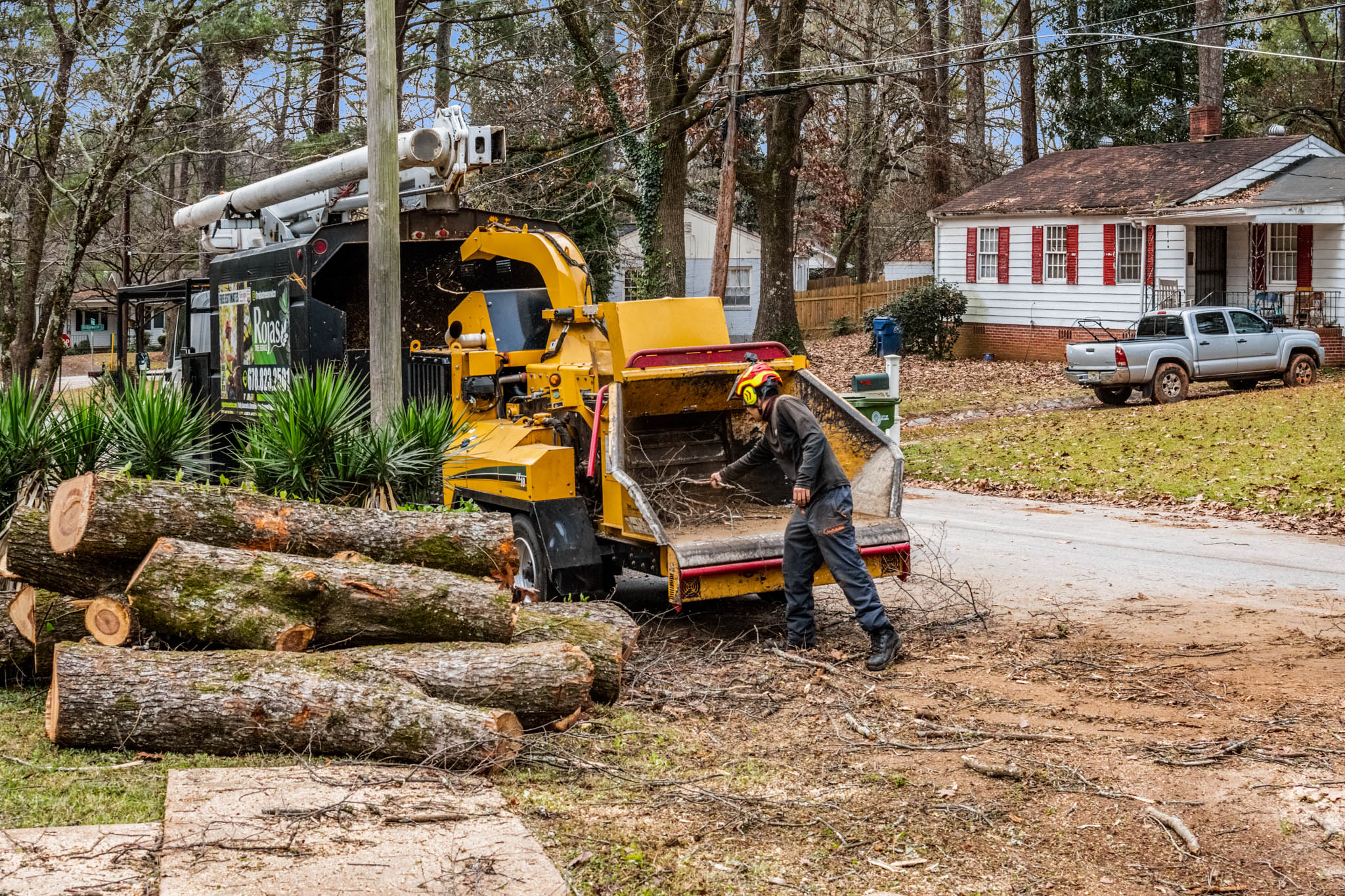 Rojas Tree Service