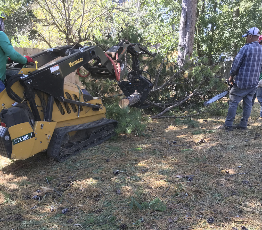 Star Tree Service Atlanta tree service work
