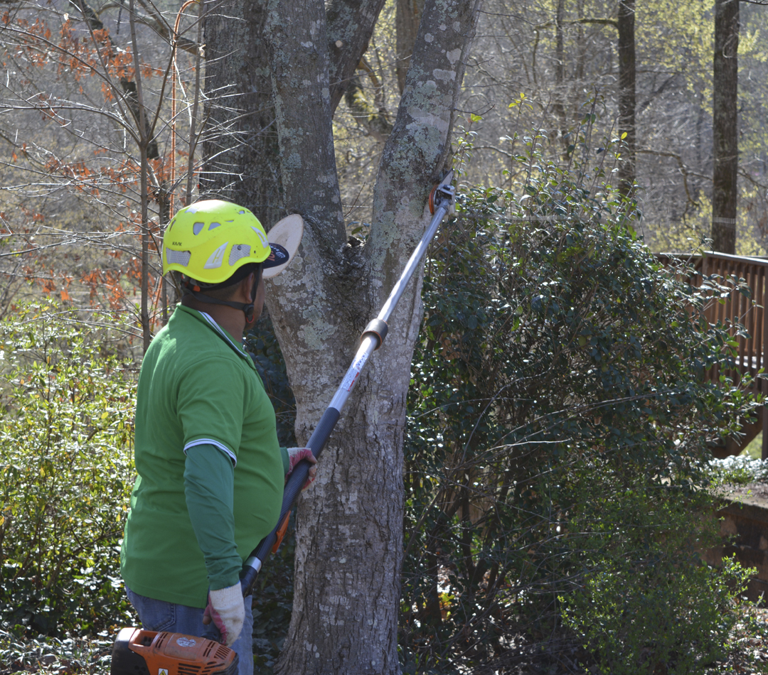 Tree Service GA