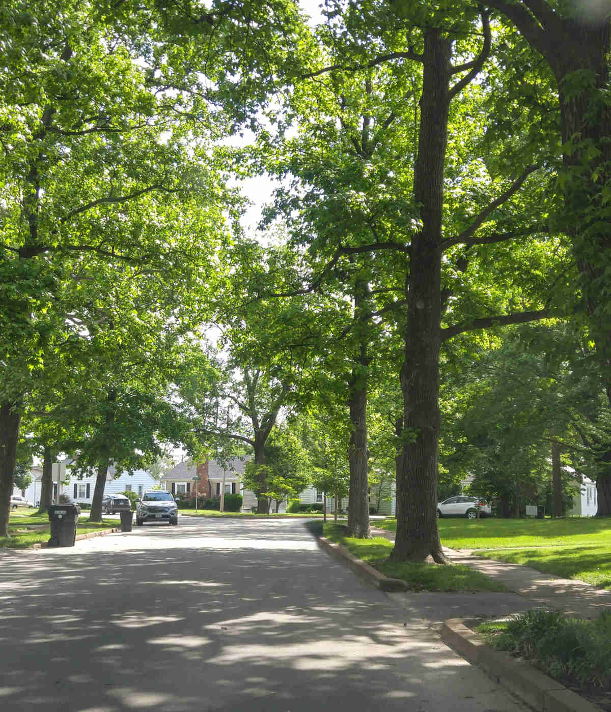 Photo of Arborguard