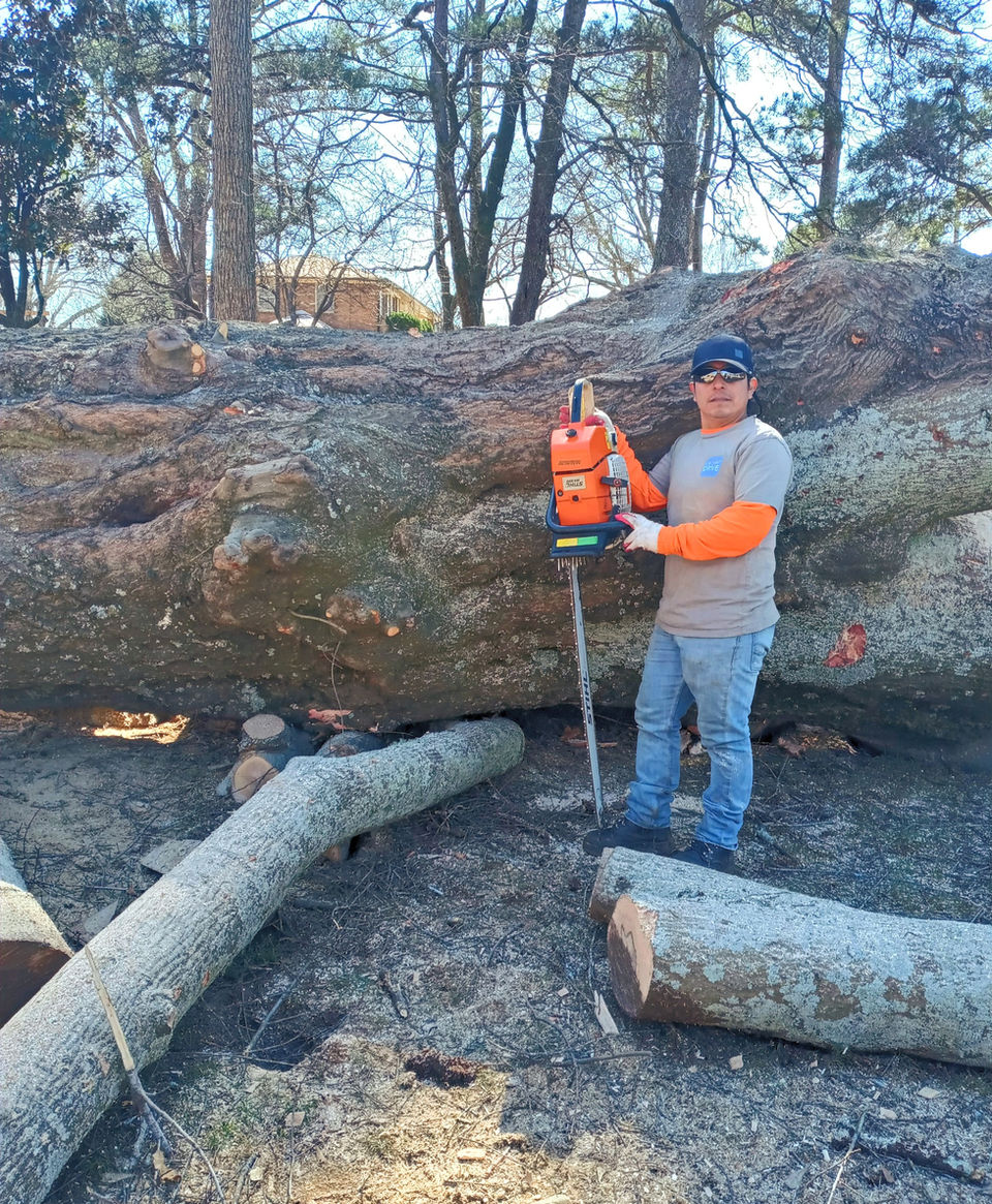 Photo of MB Professional Tree Service LLC