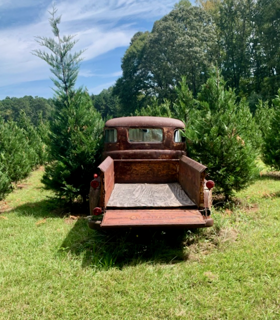Rusty dodge truck