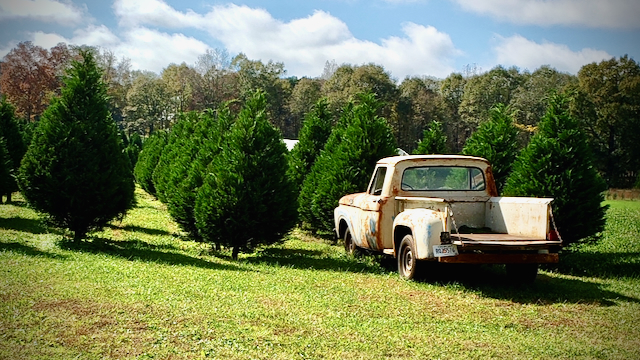 Truck
