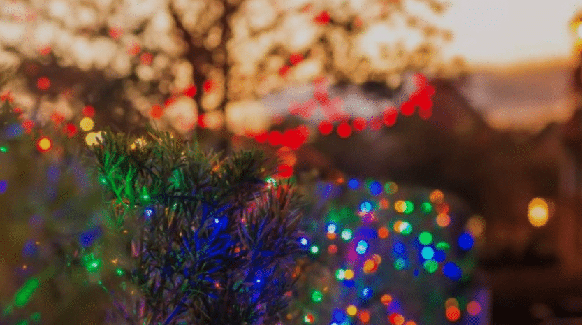 At 3.05.31 PM
