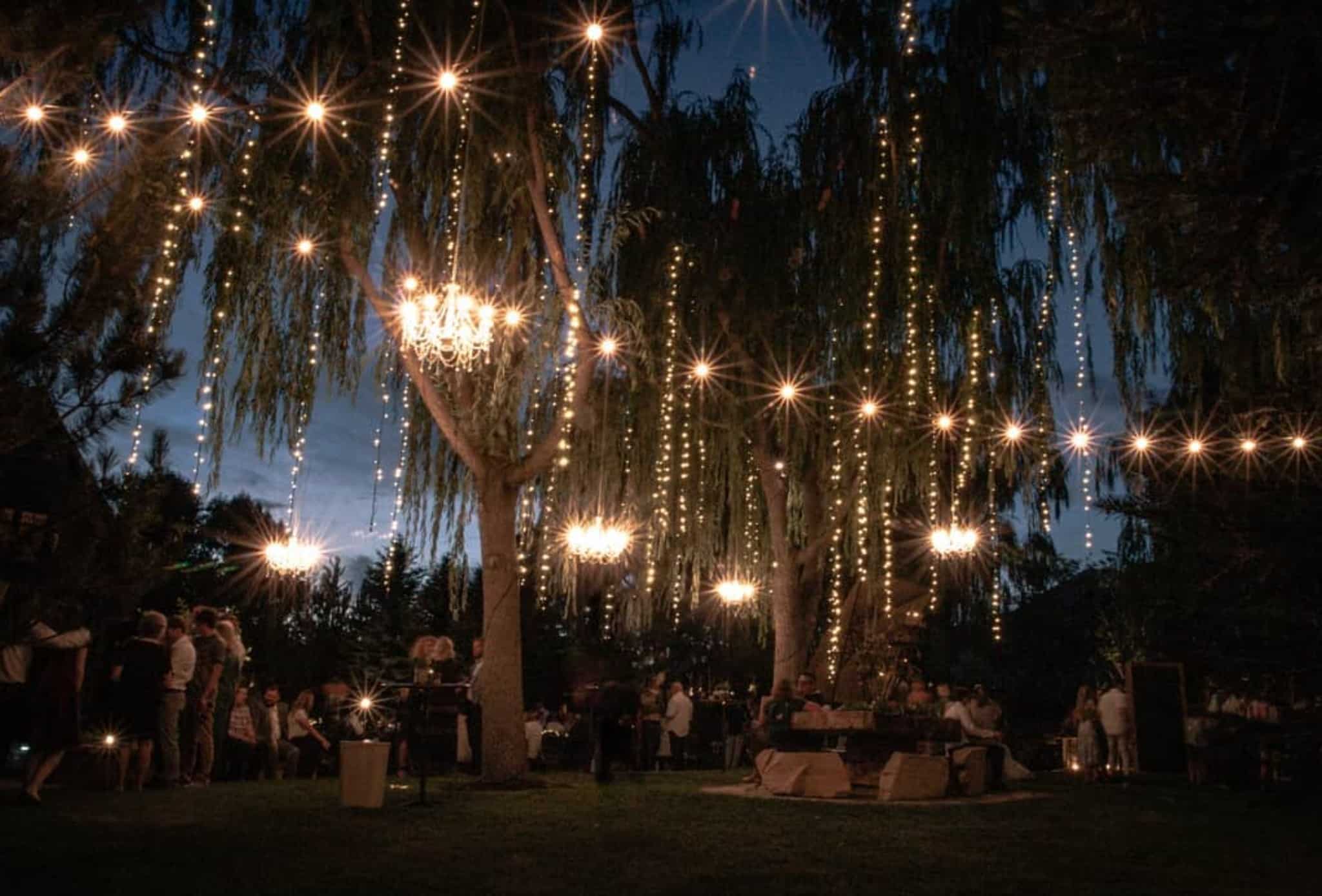 Lights All Year tree service work