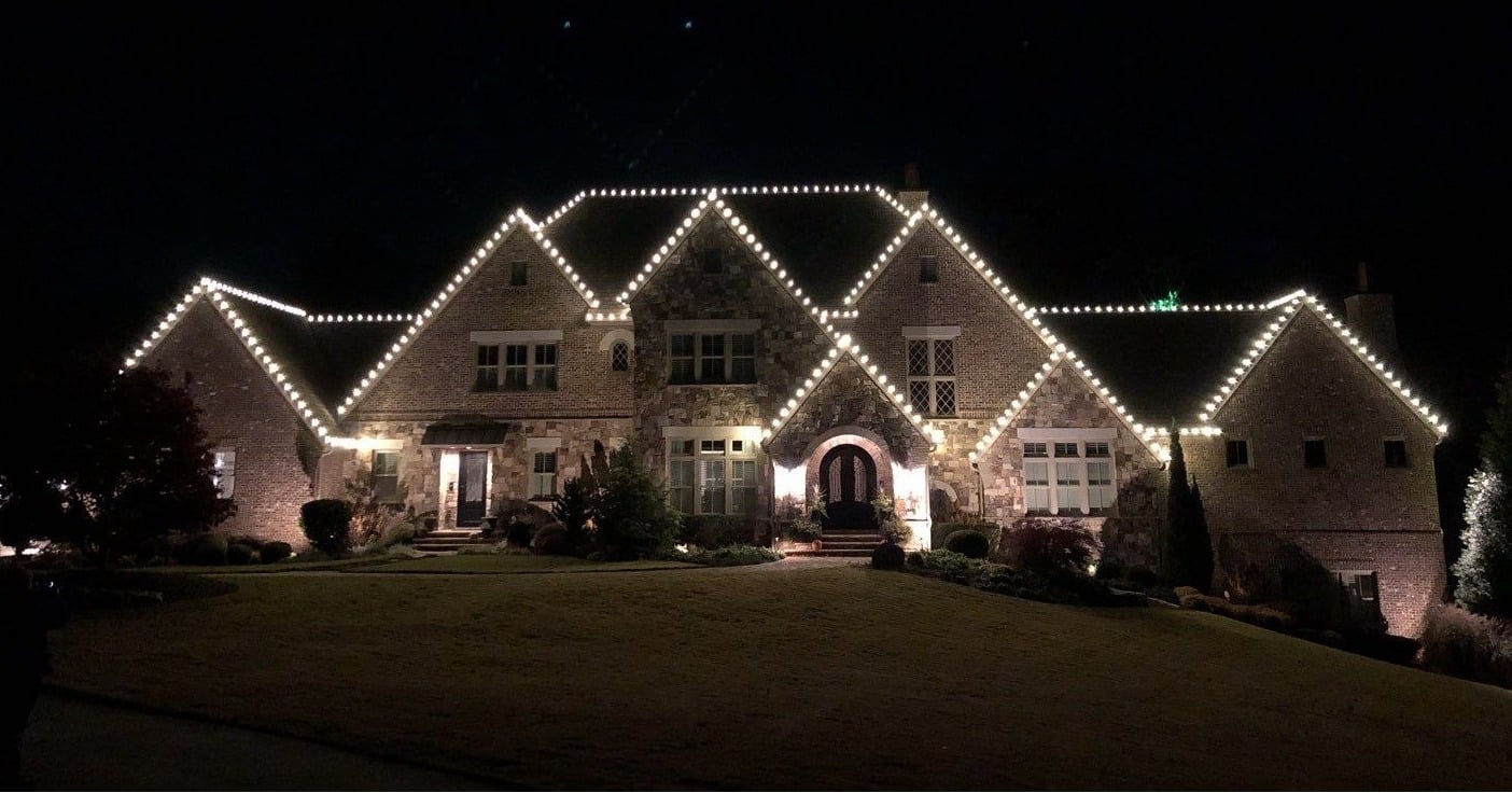 Lights All Year tree service work