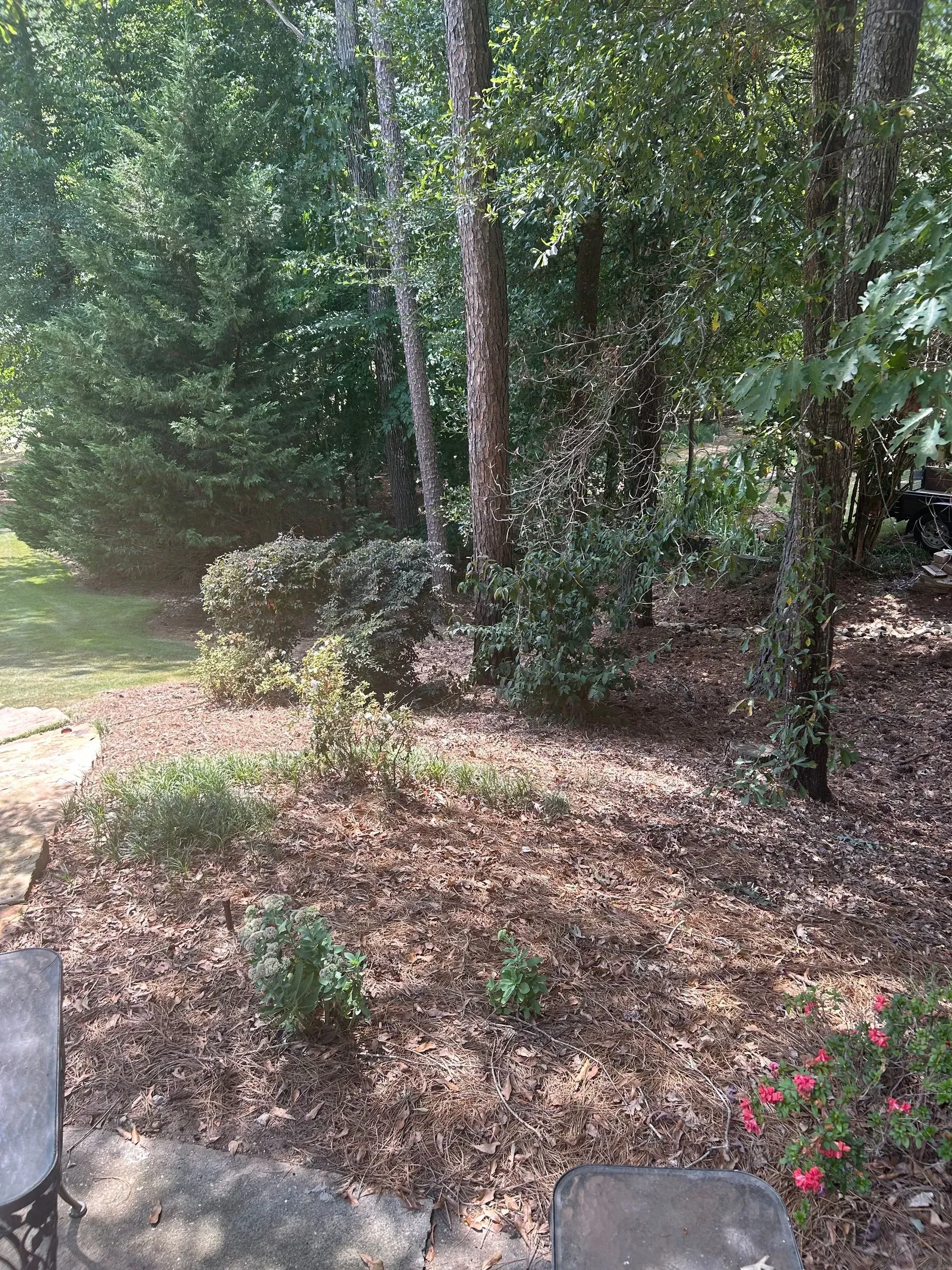Photo of Arbor Tech Tree Service
