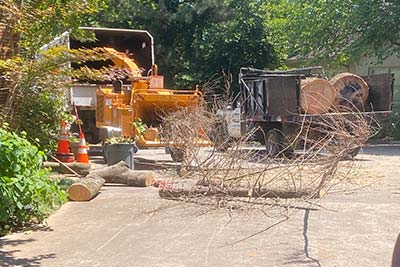 Safety Tree Services tree service work