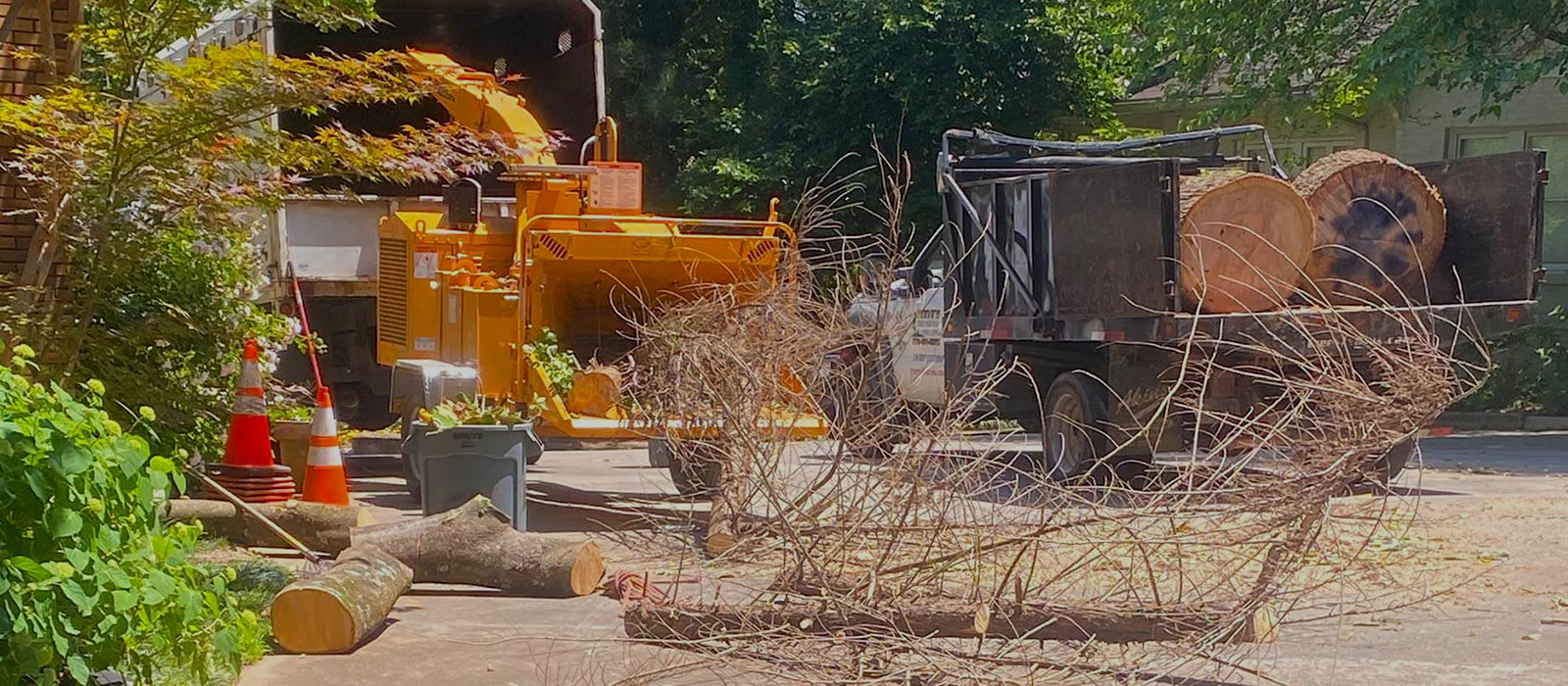 Safety Tree Services tree service work