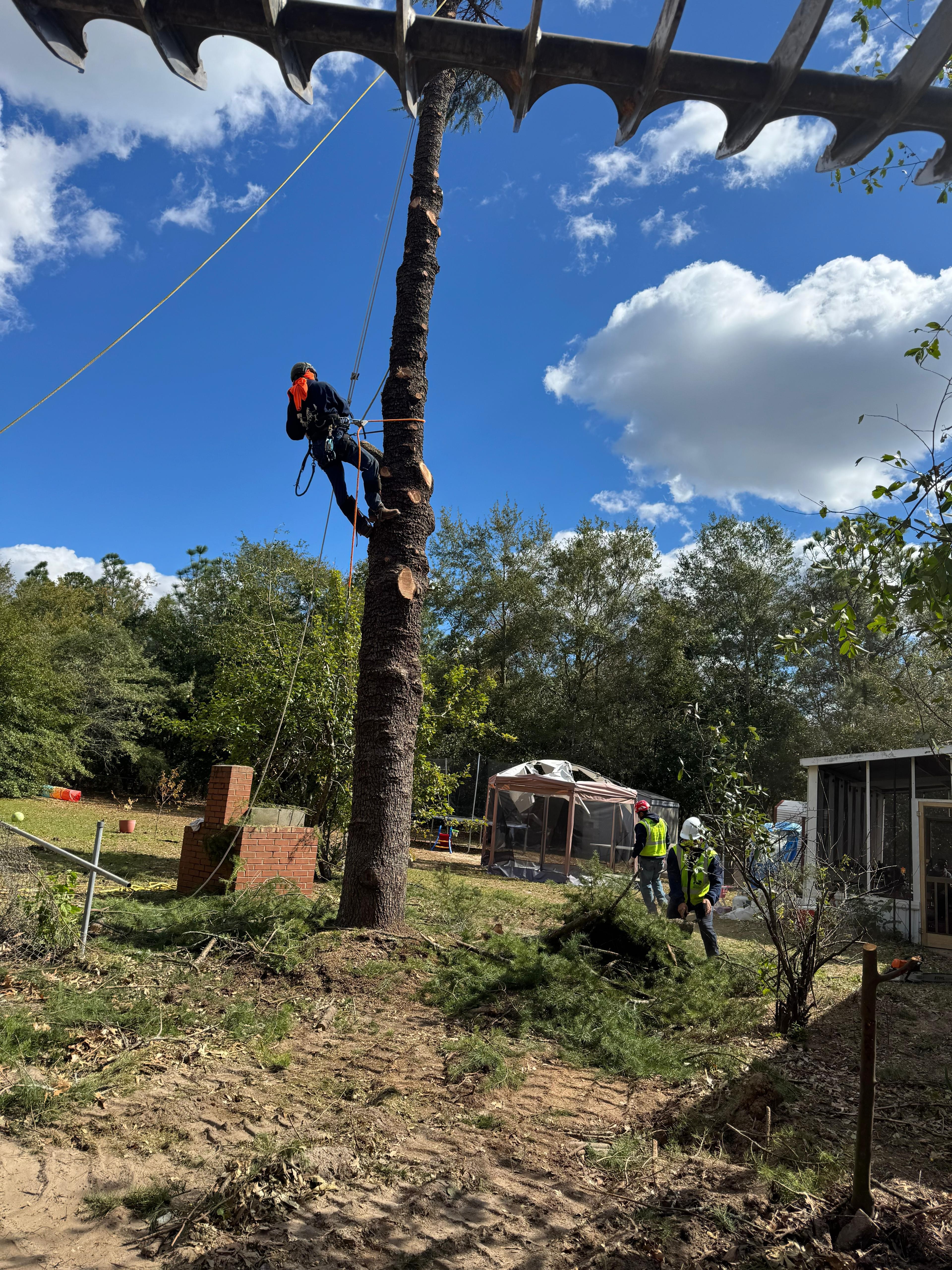ELEGANT TREE SERVICE LLC tree service work