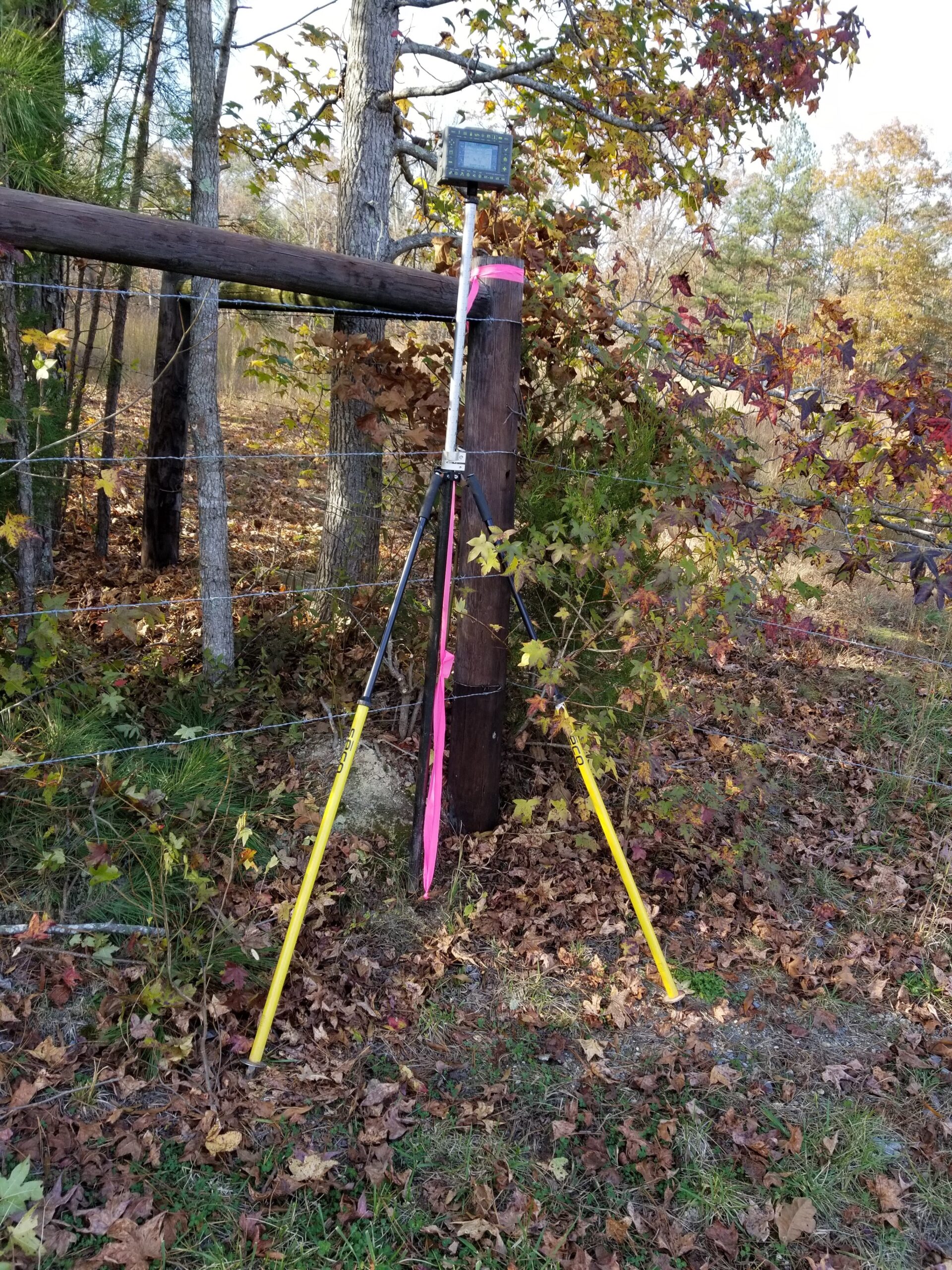 Smith & Smith Land Surveyors tree service work
