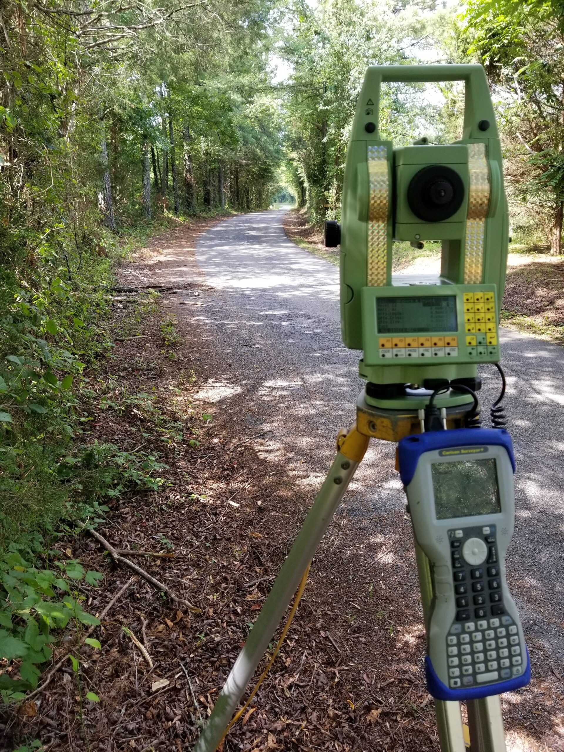 Smith & Smith Land Surveyors tree service work