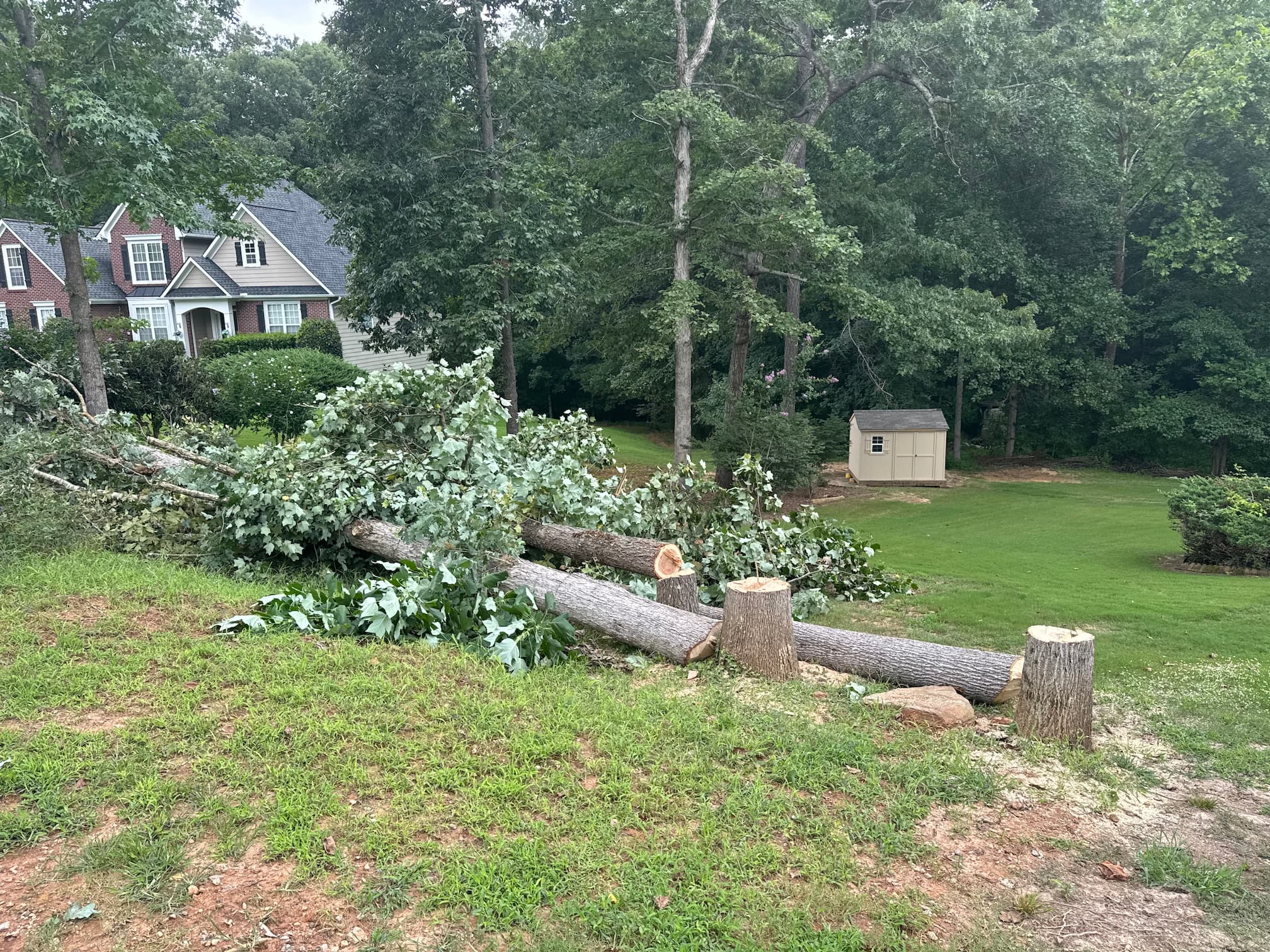 Photo of Electric Yard Work