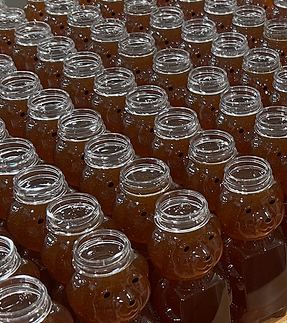 Photo of Bee Tree Farms - Canton