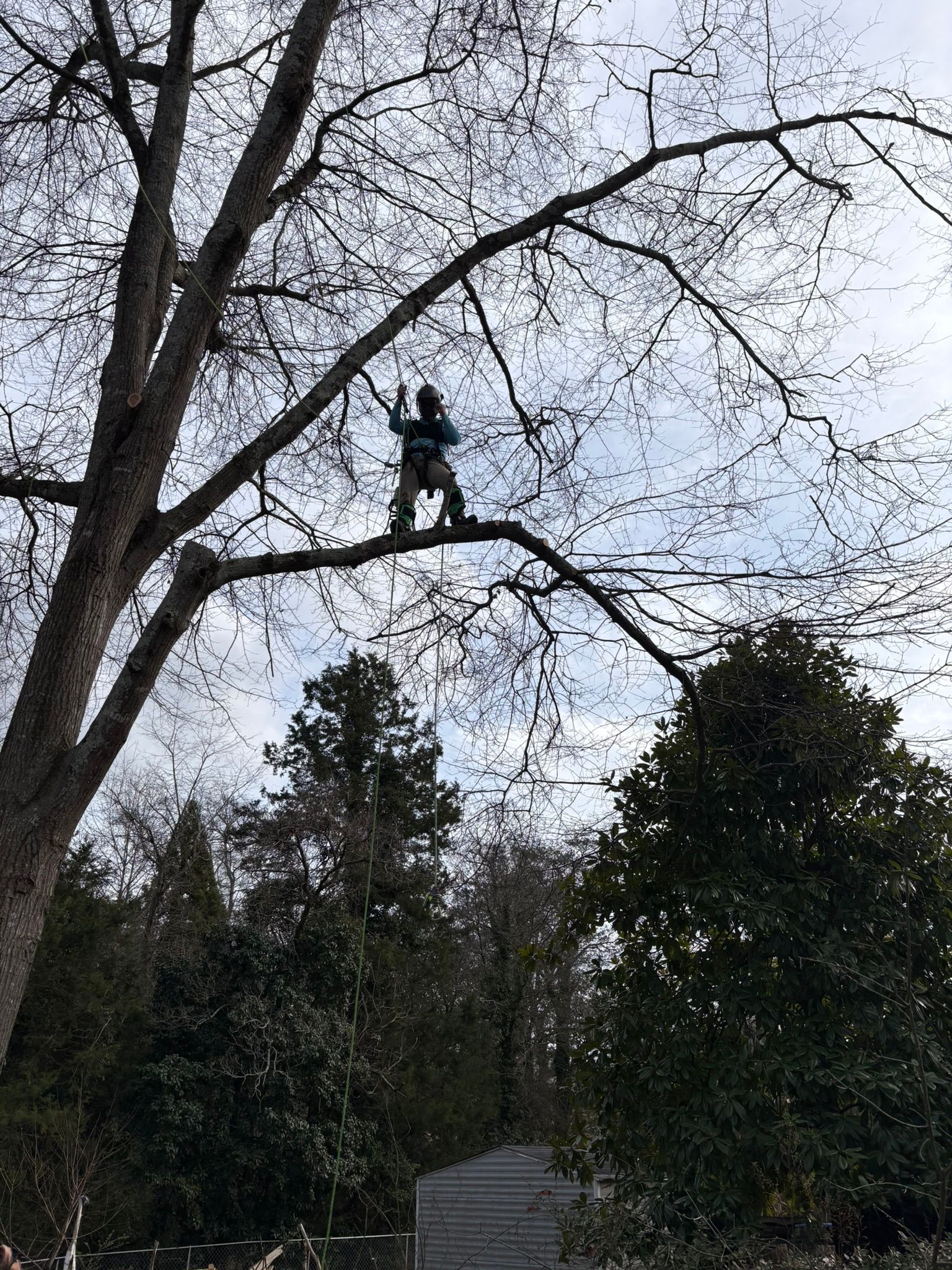 IMG 1920w