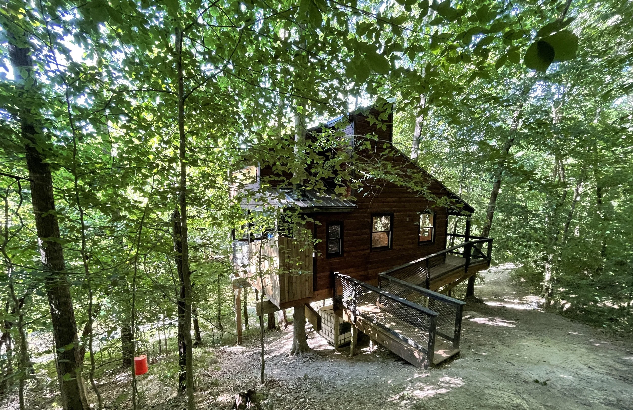 Photo of Treehouse Experts 🌲