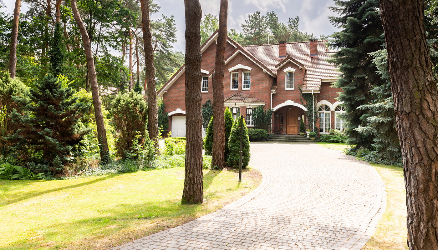 Trees around driveway feature ga min