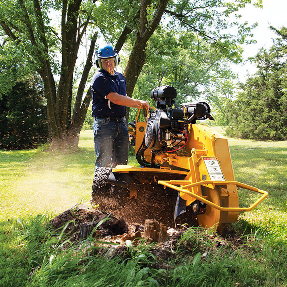 Joseph's Tree Work tree service work
