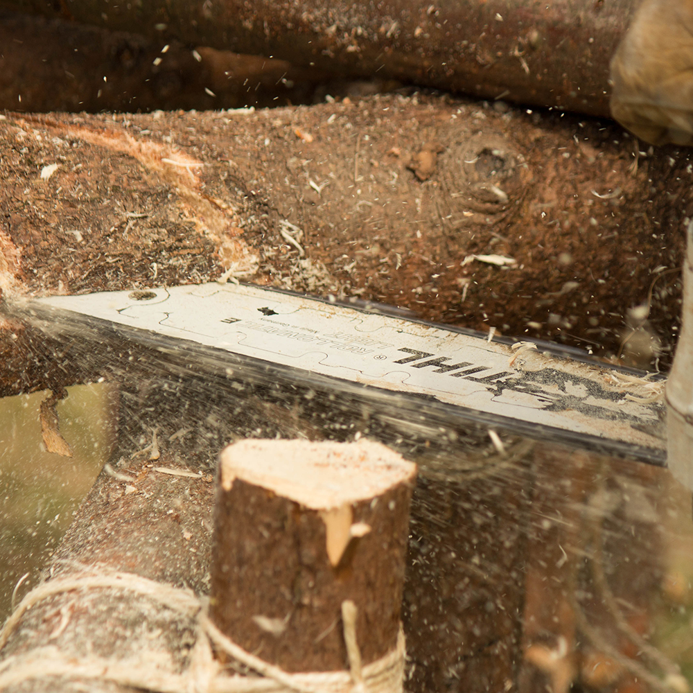 Joseph's Tree Work tree service work