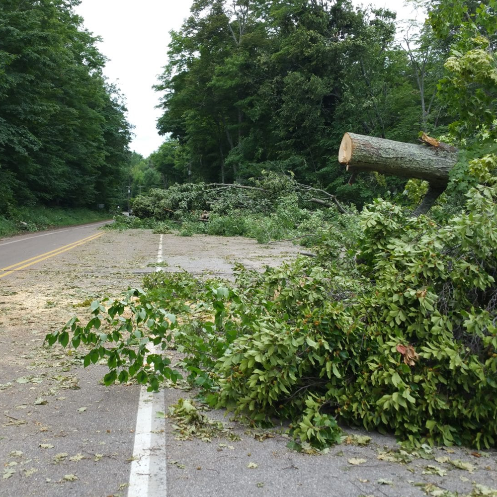Joseph's Tree Work tree service work