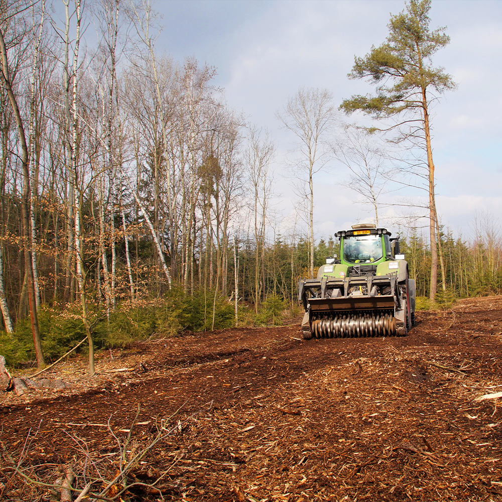 Joseph's Tree Work tree service work
