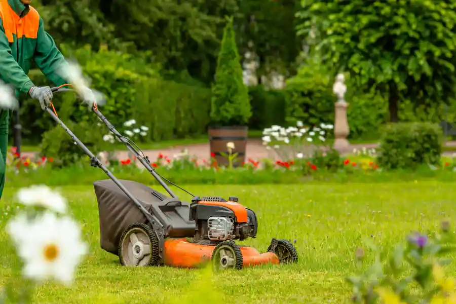 Lawn Service