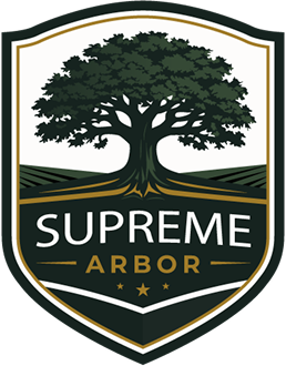Supreme Arbor