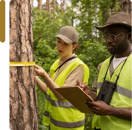 Smarter way tree care