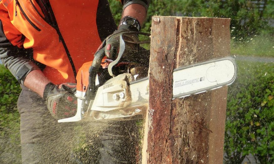 Tree trimming