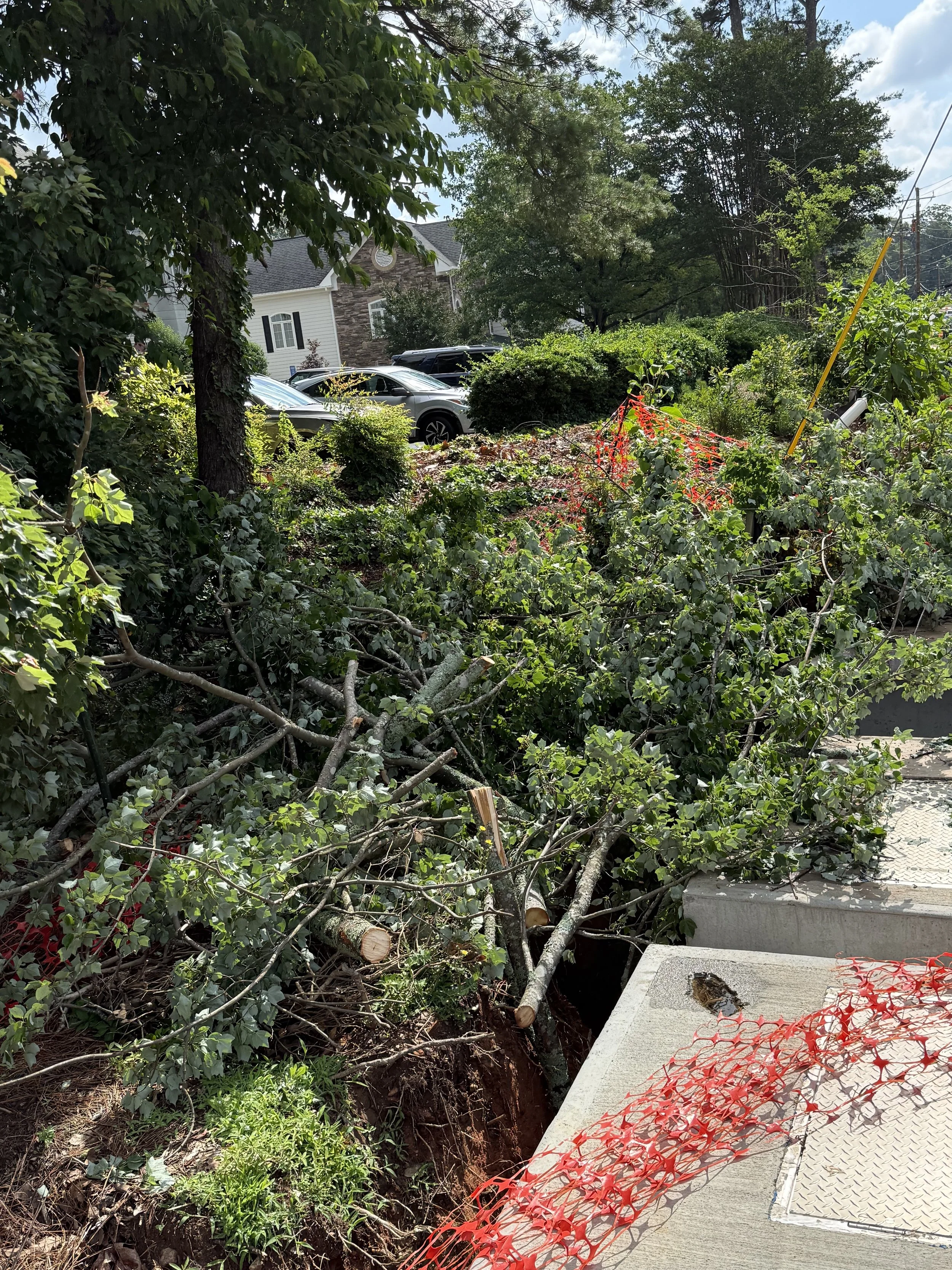Freedom Tree Services, LLC tree service work