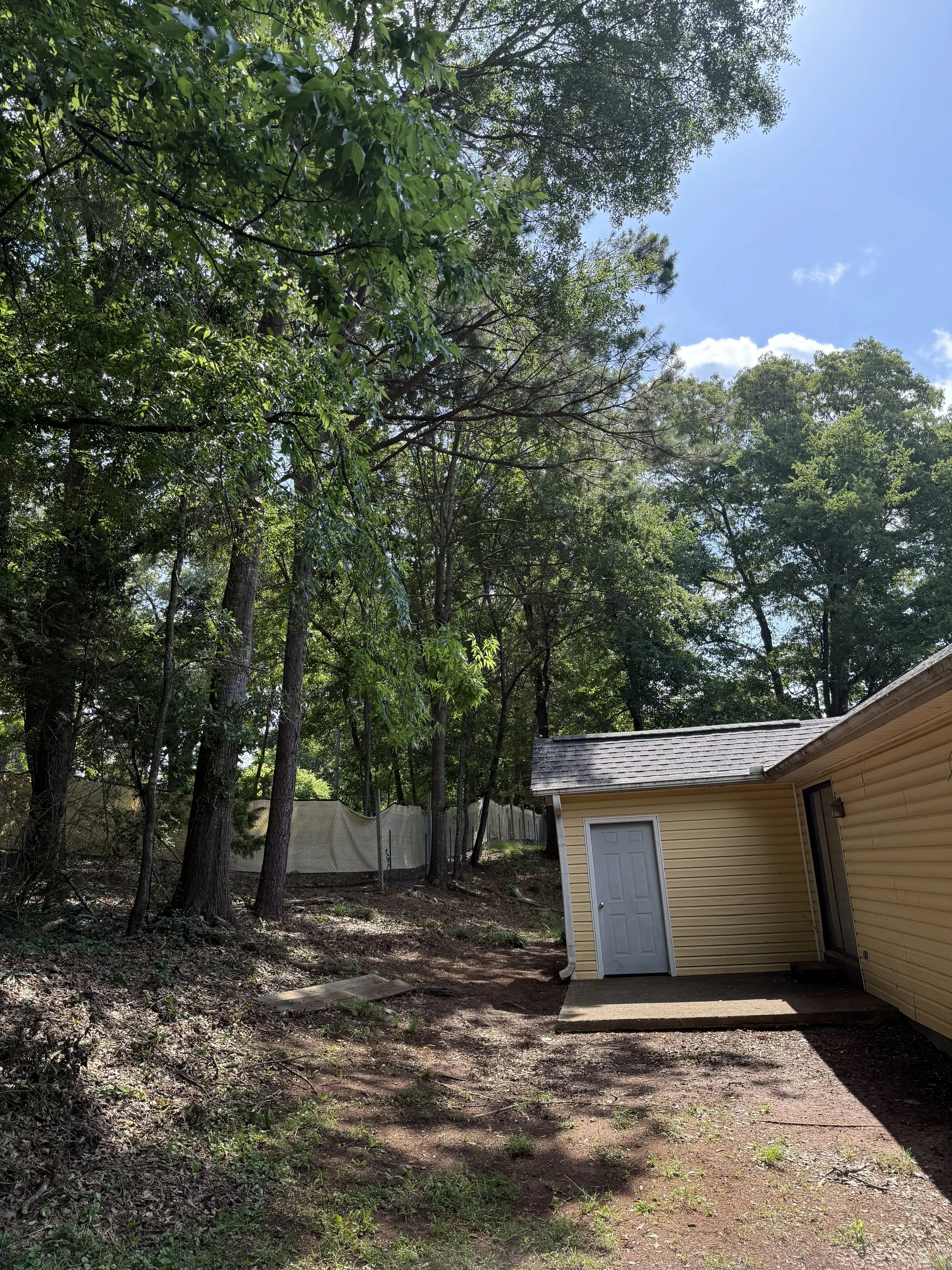 Freedom Tree Services, LLC tree service work