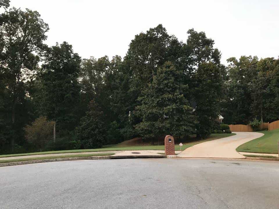 Tree Service