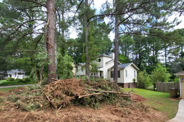 Mays Tree Service LLCs other services