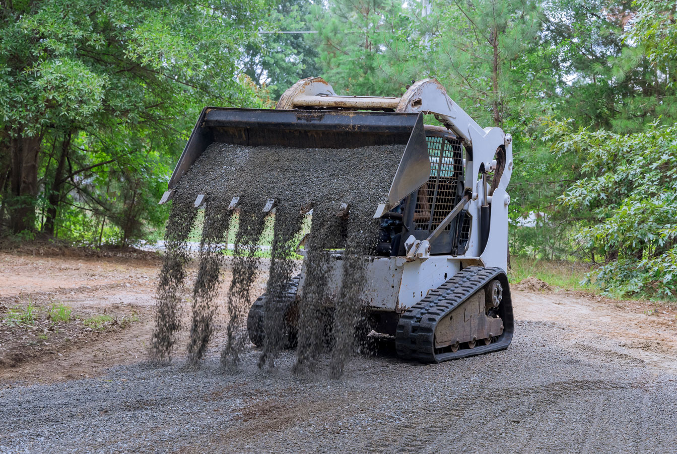 Rodriguez Tree Services tree service work