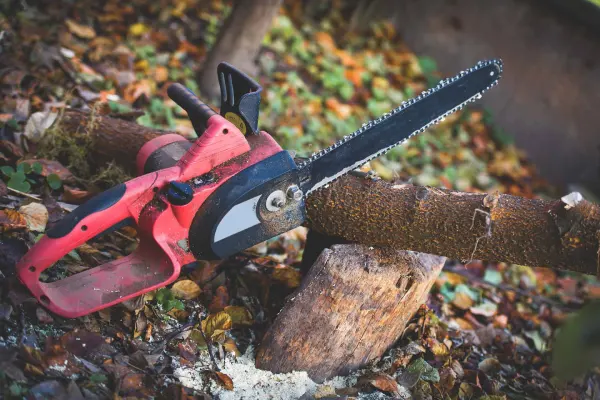 Tree Service