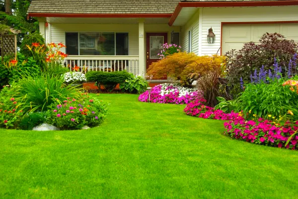 Weekly and Monthly Lawn Service