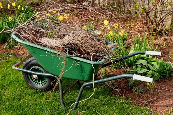 Photo of Adams Lawn Care