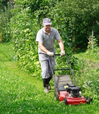 Lawn Care Service crop