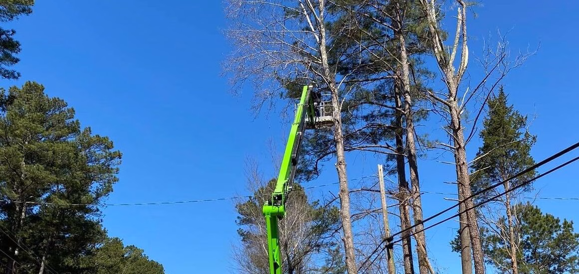 Rsw 1160h
