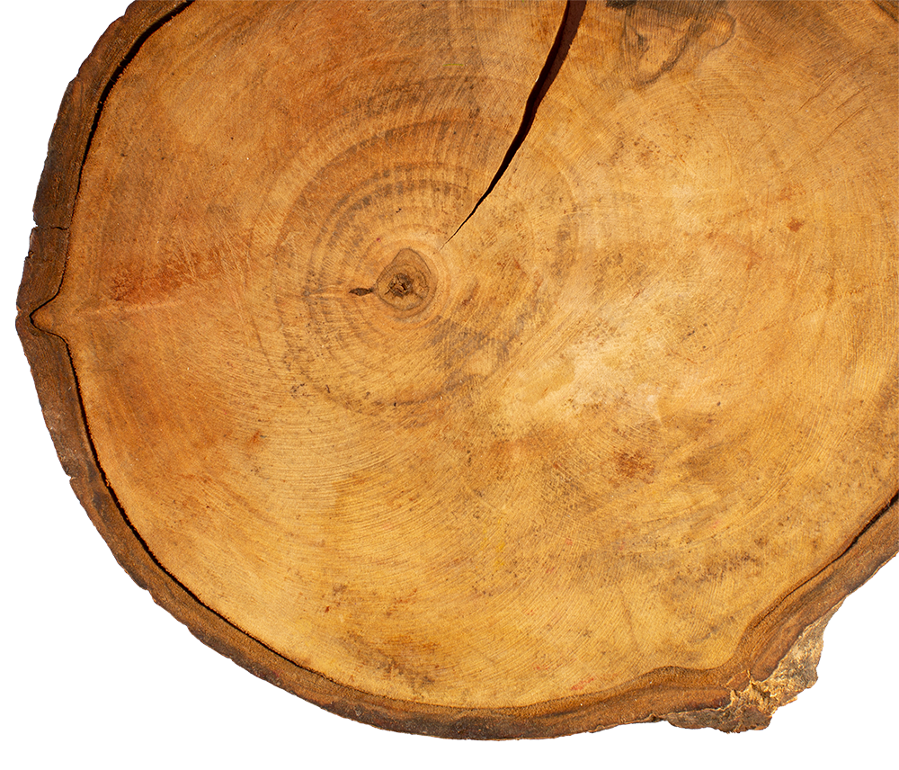 Photo of Atlas Tree Company