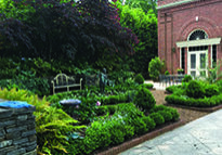 Photo of Prestige Shrub & Tree