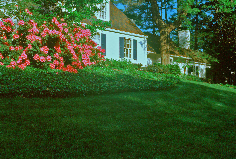 Rocky fords rhodys header